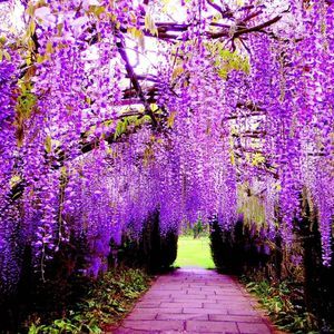 Meet your Posher, Isabel